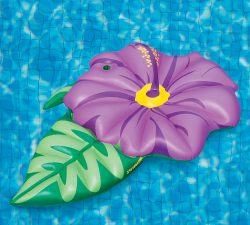 hibiscus pool float